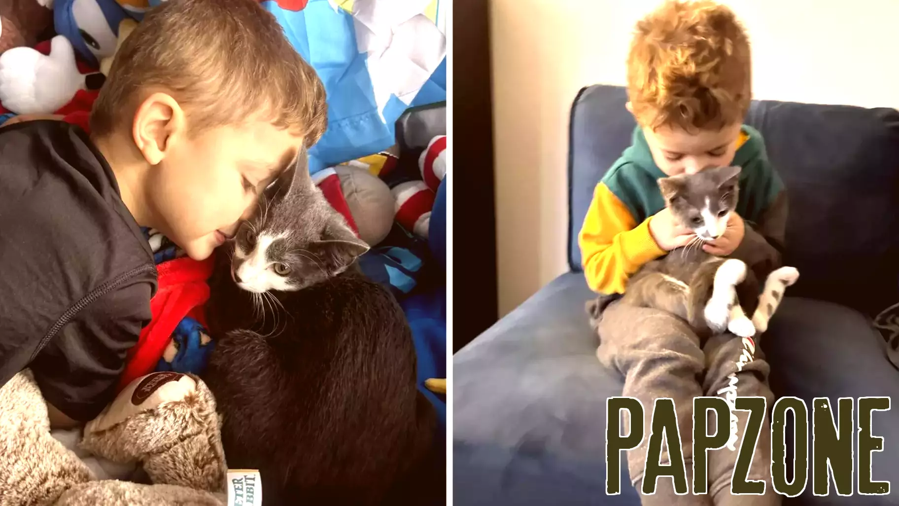 Autistic Boy Forms Special Bond with Adopted Kitten