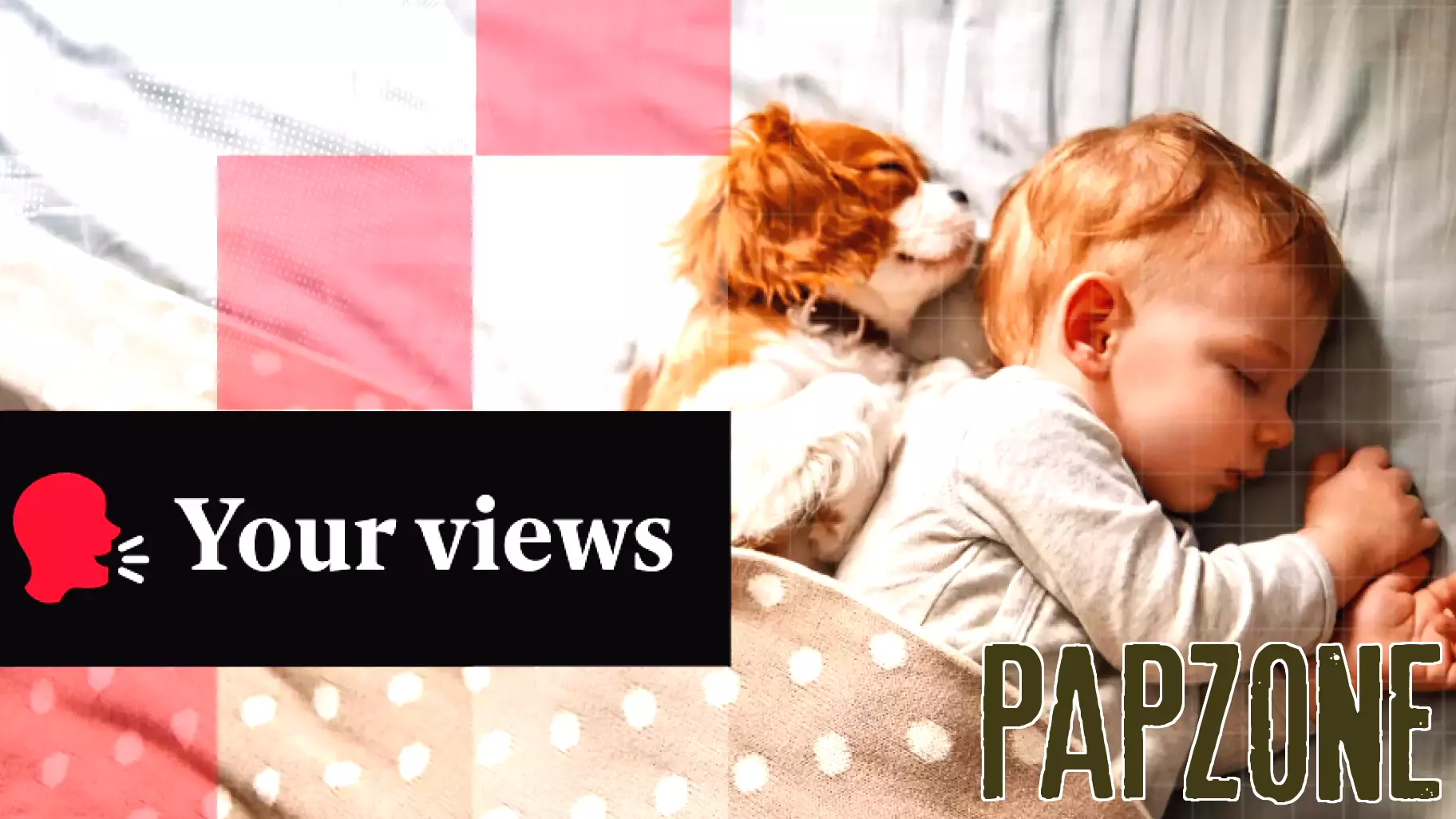 ‘Good parenting’ or betrayal? Readers clash over giving up dogs after having a baby