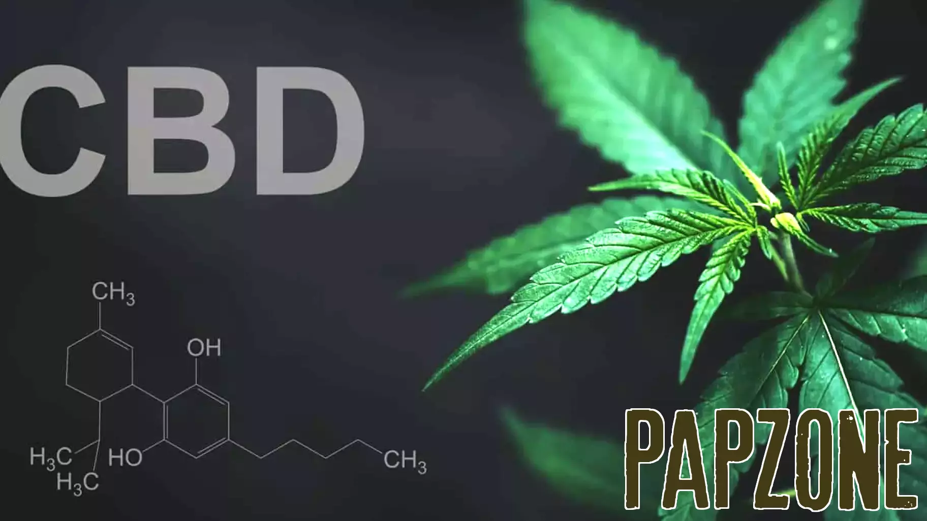 New trial suggests CBD oil could lower anxiety in autistic children and reduce parenting stress