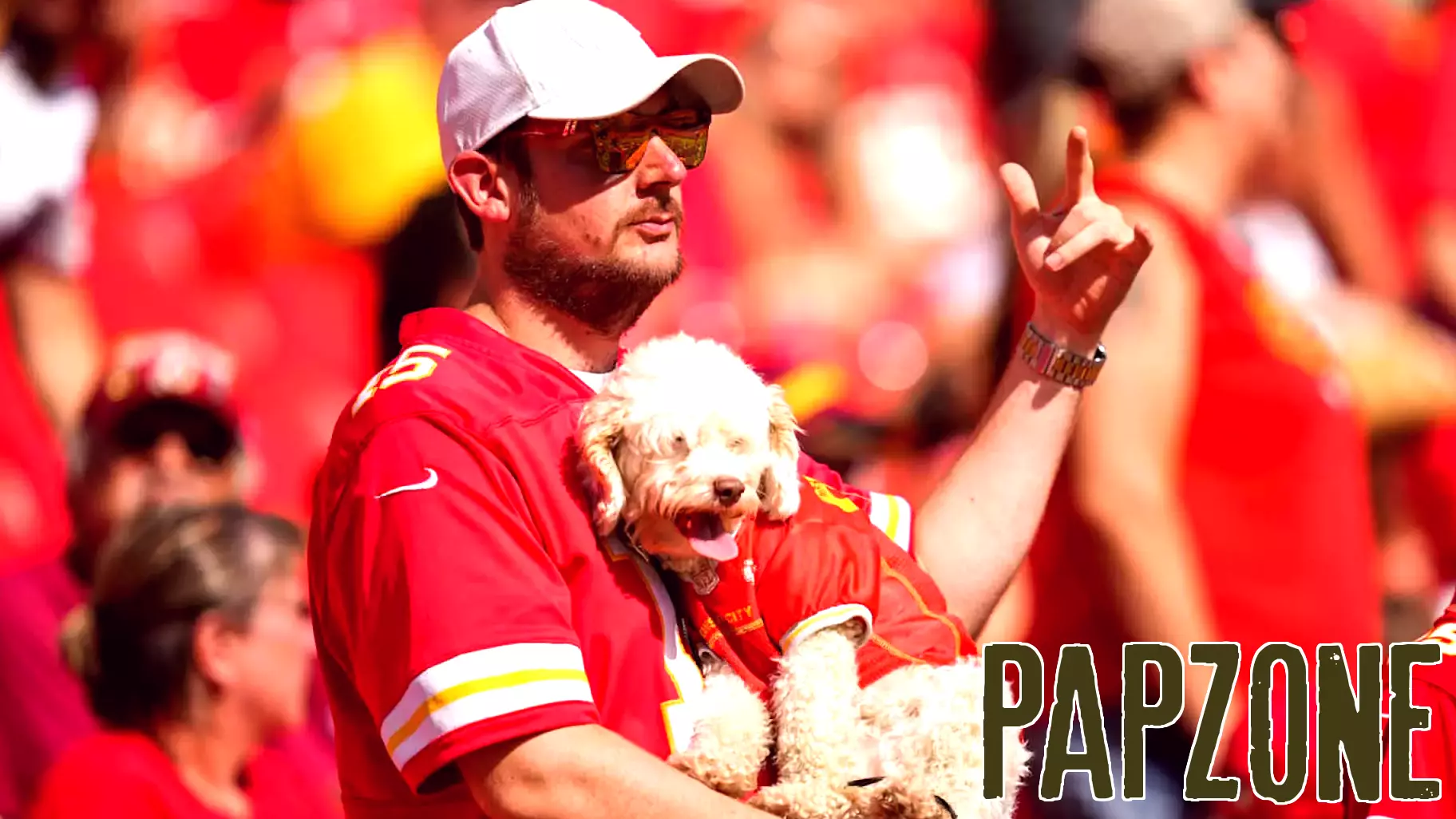 Travis Kelce and Taylor Swift: A Furry Co-Parenting Adventure?