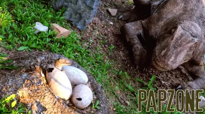 Exploring the Parenting Styles of Dinosaurs