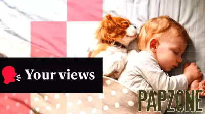 ‘Good parenting’ or betrayal? Readers clash over giving up dogs after having a baby