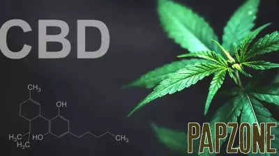 New trial suggests CBD oil could lower anxiety in autistic children and reduce parenting stress