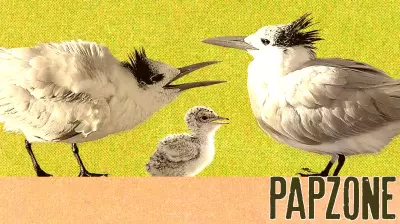 The Lingering Challenges of Parenting in a Post-Pandemic World